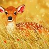 Little Deer Fawn Art paint by numbers
