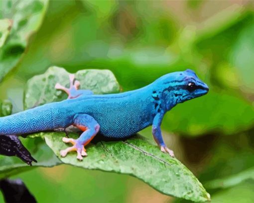Blue Lygodactylus Wiliamsi Gecko paint by numbers