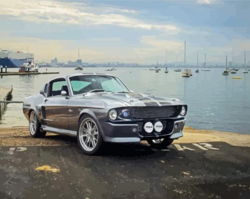 Mustang Eleanor Car paint by numbers