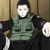 Shikamaru Character paint by numbers