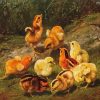 Cute Nine Chicks paint by numbers