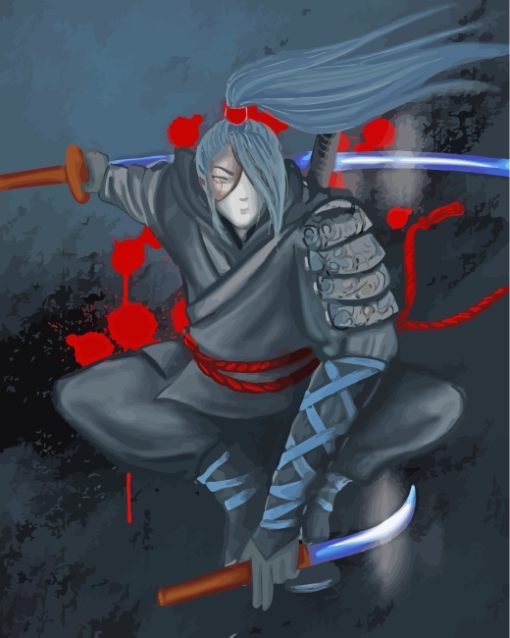 Ninja Assassin's Creed paint by numbers