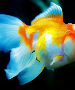 Orange And White Fish paint by numbers