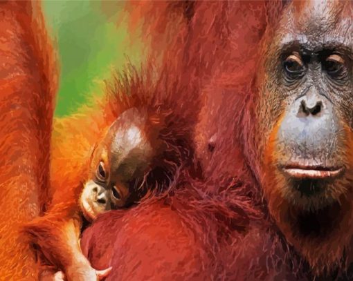 Orangutan Mother And Her Baby paint by numbers