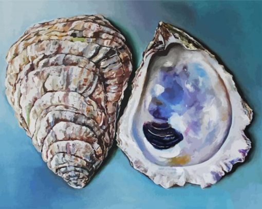 Oyster Shells paint by numbers