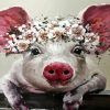 Pig With Flowers paint by numbers