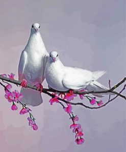 White Pigeon Doves paint by numbers