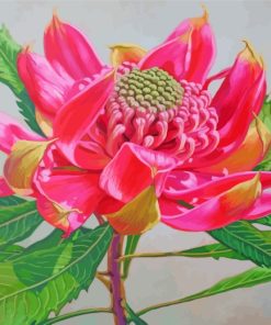 Pink Waratah Plant paint by numbers