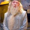 The Professor Albus Dumbledore paint by numbers
