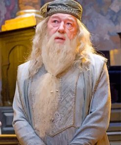 The Professor Albus Dumbledore paint by numbers