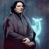 Severus Snape paint by numbers