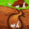 Rabbits In Burrow paint by numbers