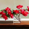 Red Bougainvillea In Glass paint by numbers