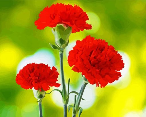 Red Carnation Flowers paint by numbers