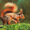 Adorable Red Squirrel paint by numbers