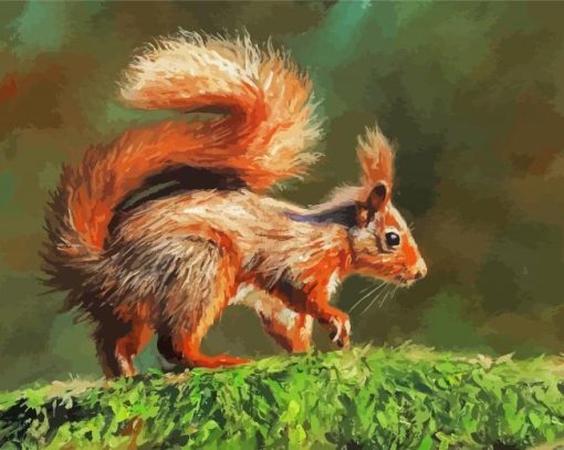 Adorable Red Squirrel paint by numbers