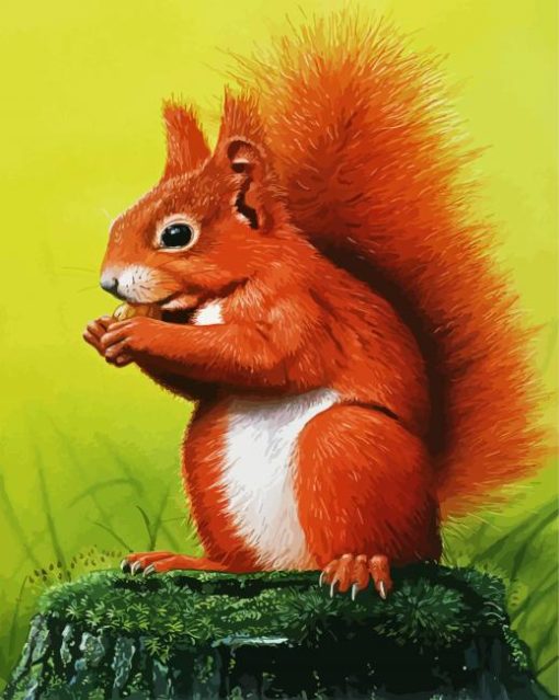 Red Squirrel Animal paint by numbers