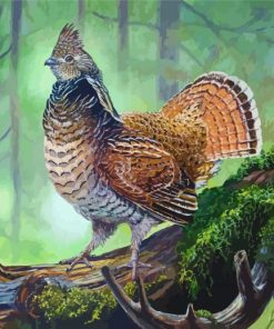 Ruffed Grouse On Branch paint by numbers