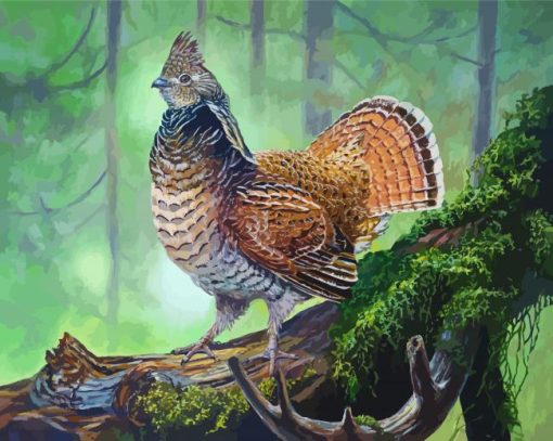 Ruffed Grouse On Branch paint by numbers