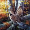 Ruffed Grouse Birds paint by numbers