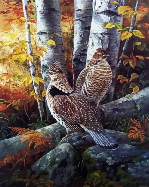 Ruffed Grouse Birds paint by numbers