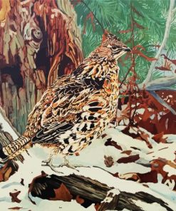 Ruffed Grouse In Snow paint by numbers
