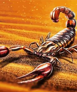 Scorpion Art paint by numbers