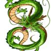 Shenron Dragon Ball paint by numbers