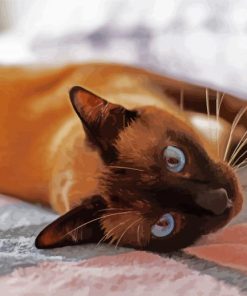 Siamese Cat paint by numbers