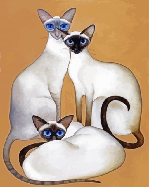 Siamese Cats Family paint by numbers