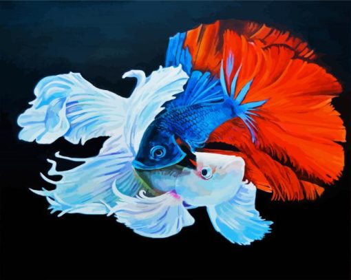 Siamese Fighting Fish paint by numbers