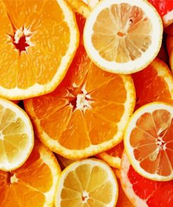 Sliced Citrus Fruits paint by numbers