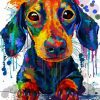 Splatter Dachshund Dog paint by numbers