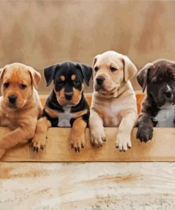 Staffordshire Bull Terrier Puppies paint by numbers