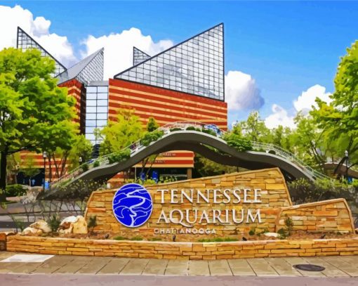 Tennessee Aquarium paint by numbers