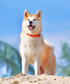 The Akita Dog paint by numbers