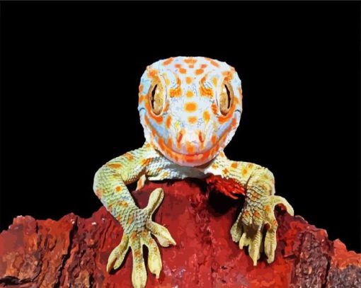 Tokay Gecko Lizard paint by numbers