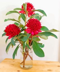 Waratah Plants In Glass paint by numbers