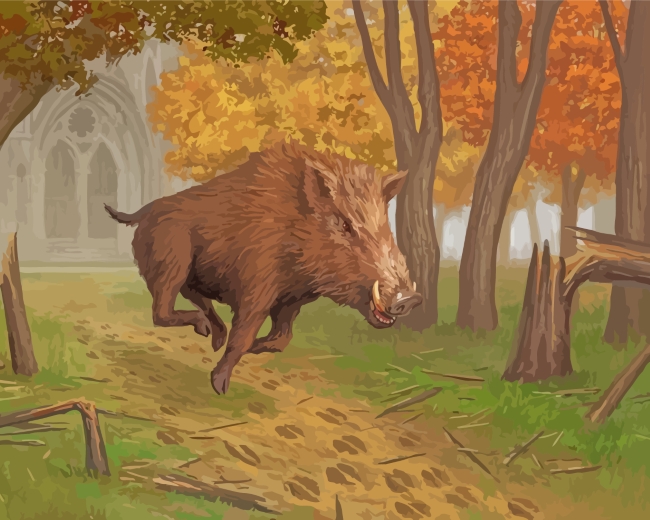 Wild Boar Animal paint by numbers
