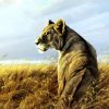 Wild Lioness Animal paint by numbers