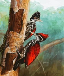Woodpeckers Birds paint by numbers