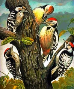 Woodpeckers Family Picoides paint by numbers