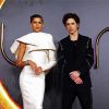Zendaya And Timothée Chalamet paint by numbers