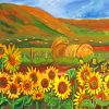 Abstract Field Sunflowers paint by numbers