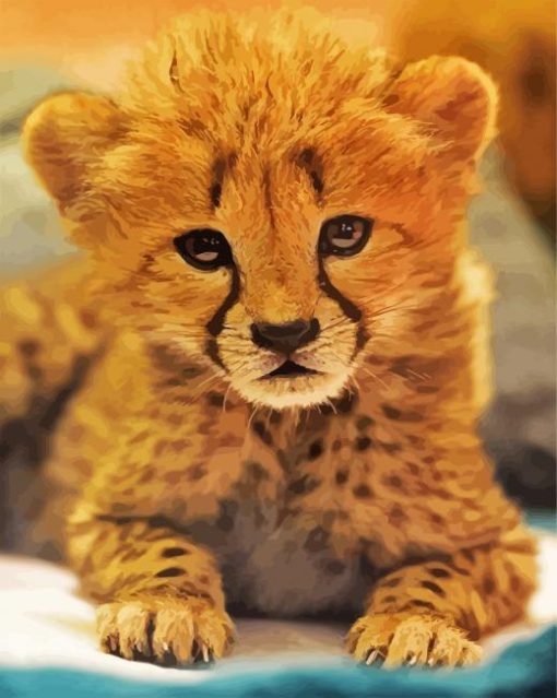 Adorable Cheetah Cub paint by numbers