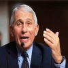 Anthony Fauci paint by numbers