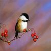 Aesthetic Chickadee Bird paint by numbers