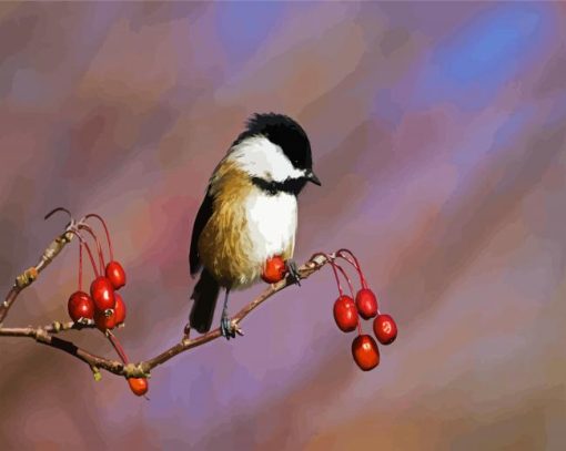 Aesthetic Chickadee Bird paint by numbers