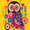 Colorful Owl Art paint by numbers