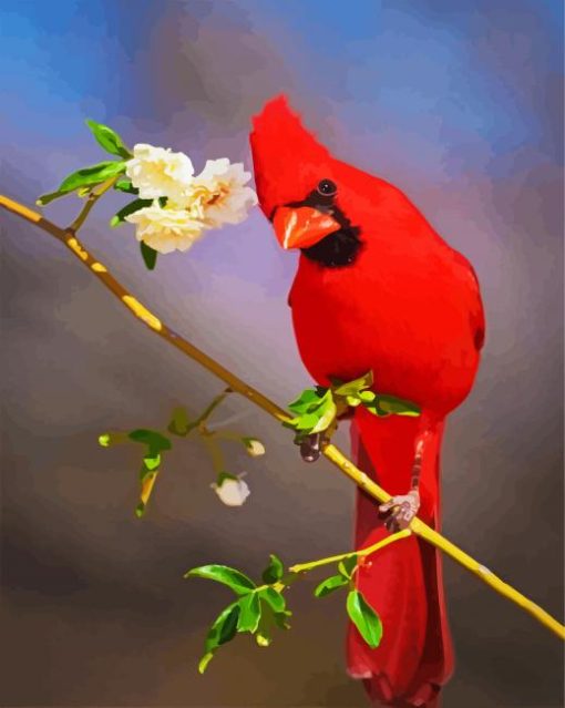 Cute Red Cardinal Bird paint by numbers